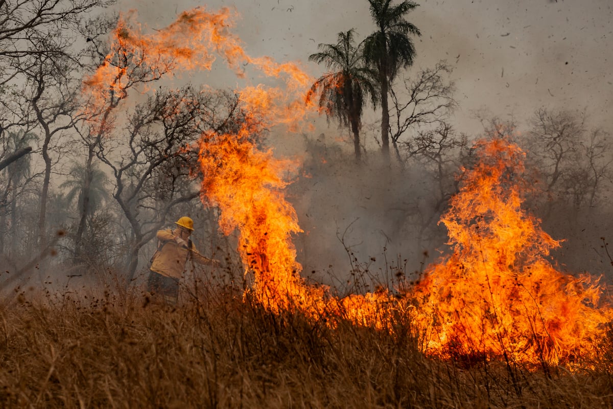 Una nueva generación de bomberos contra el fuego que no respeta fronteras