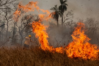 Voluntarios de la aldea de Tomazia, en el territorio indígena de Kadiweu, luchan contra las llamas en el humedal tropical más grande del mundo, en Brasil el 13 de septiembre de 2024.