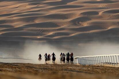 Un grupo de caballos con sus respectivos jinetes galopan durante el Festival de los deportes, en Liwa (Emiratos Árabes Unidos).