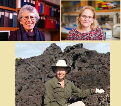 Las científicas Susan Alberts, Jeanne Altmann y Marlene Zuk, galardonadas con el XV Premio Fundación BBVA Fronteras del Conocimiento en la categoría de Ecología y Conservación.