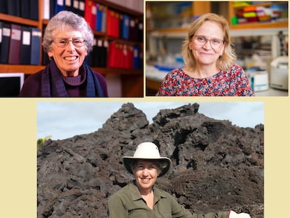 Las científicas Susan Alberts, Jeanne Altmann y Marlene Zuk, galardonadas con el XV Premio Fundación BBVA Fronteras del Conocimiento en la categoría de Ecología y Conservación.