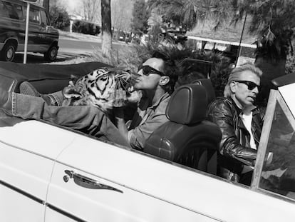 Siegfried & Roy, con sus peinados esculpidos, conduciendo por Las Vegas con un tigre de copiloto.