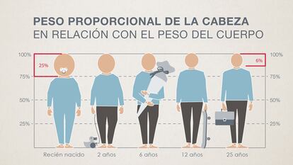 Las cabezas de los bebés estarían más expuestas en caso de accidente a favor de la marcha.