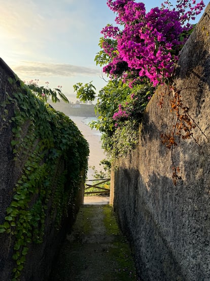 Entrada a la playa de Canelas.