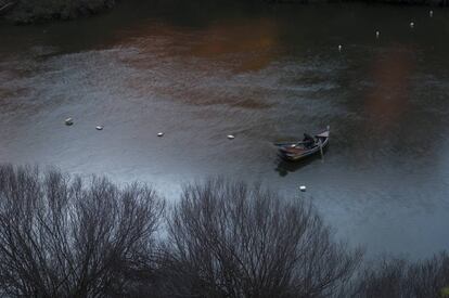 Pesca de lampreas en Mértola, Portugal.
