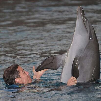 Cristiano Ronaldo, nadando entre delfines durante su visita a Dubái.