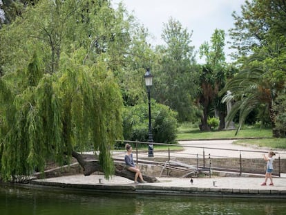 El parc de la Ciutadella quan va reobrir després del confinament, molt més salvatge.