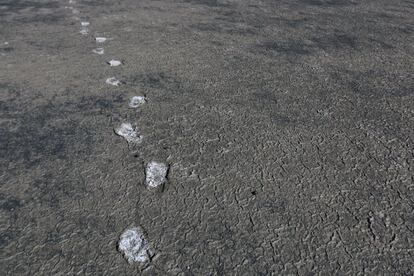 El agua que queda todavía bajo la superficie convierte a gran parte del lago en una extensión de fango. Enseguida se cristaliza la sal sobre las huellas, los utensilios o los cadáveres recientes de aves. 