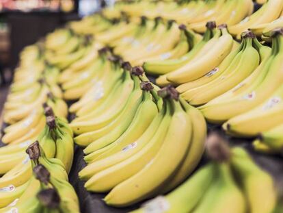 Por qué cae la innovación en el sector alimentario