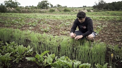 Aleix Dalmau, de l'empresa agrícola Can Garús, de Llers (Girona).