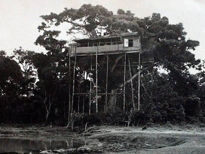 Una imagen del Treetops original, en los años treinta.