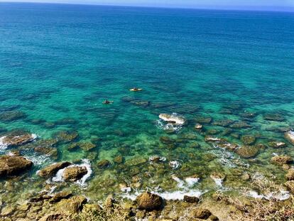 DESDE FARO ROCHE / CAPEL