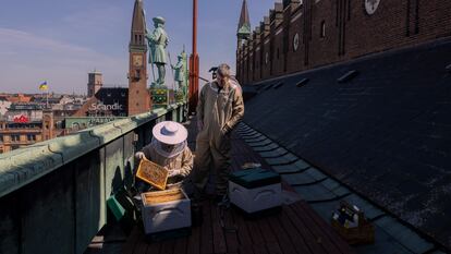 Paneles de abejas en los tejados del Ayuntamiento de Copenhague.