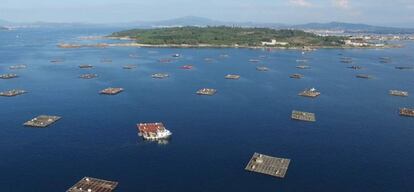 Bateas de mejillón en la ría de Arousa.