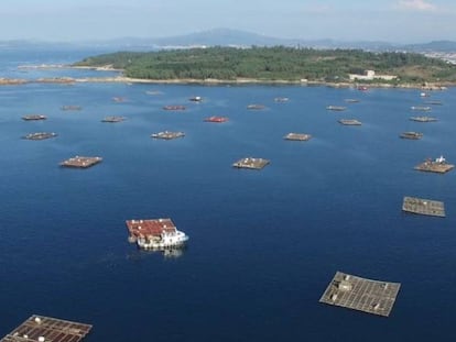 Bateas de mejillón en la ría de Arousa.