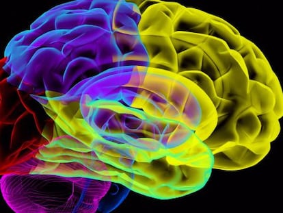 El mapa del cerebro todavía es un arcano.