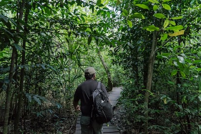 Un guía de turistas camina por la Reserva de la Biósfera de Sian Ka’an.