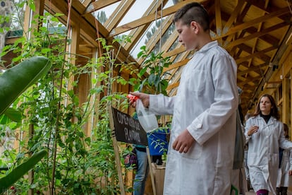 El huerto orgánico que abastece de frutas y verduras al comedor escolar es cultivado y cuidado por los propios niños. El agua que lo riega proviene de la lluvia, almacenada en tanques colocados al fondo del edificio, con capacidad para 30.000 litros.