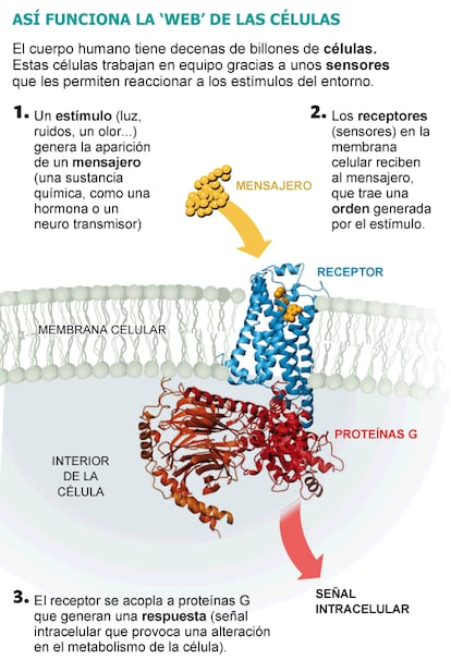 Fuente: Nobelprize.org