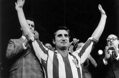 Isacio Calleja
