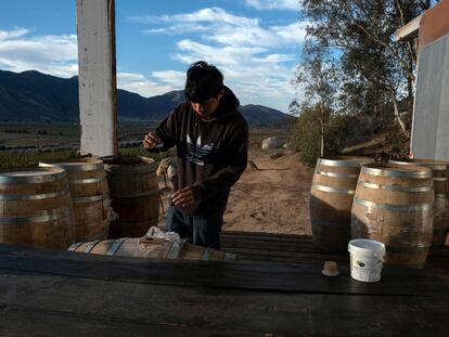 Jorge Osiel López prepara barriles de vino en la bodega Anatolia en Valle de Guadalupe, Estado de Baja California (México), el 20 de octubre de 2022.