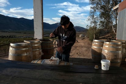 Jorge Osiel López prepara barriles de vino en la bodega Anatolia en Valle de Guadalupe, Estado de Baja California (México), el 20 de octubre de 2022.