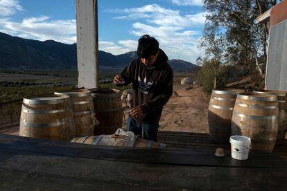 Jorge Osiel López prepara barriles de vino en la bodega Anatolia en Valle de Guadalupe, Estado de Baja California (México), el 20 de octubre de 2022.