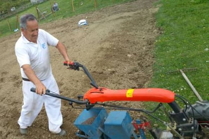 El duro trabajo para recuperar un cultivo