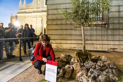 Un momento de la plantación del olivo en memoria de las víctimas de abusos de la Iglesia, este lunes en la catedral de la Almudena. 