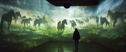 Instalación de la película inmersiva 'Fillos do vento: a rapa'.
