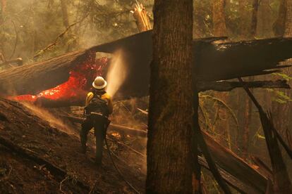 Un bombero trabaja entre las llamas durante un incendio forestal en Newhalem, en el Estado de Washington (EE UU).