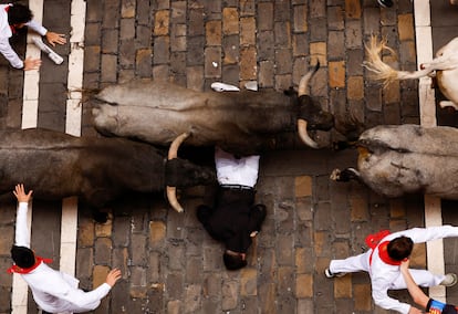 A waiter gets caught between the legs of the bulls during a San Fermín bull run, 2024.
