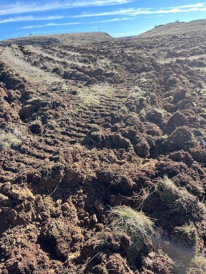 Vestigios del asentamiento romano, reducidos a escombros por el paso de maquinaria en Palencia.