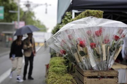 Rosas protegidas con un plástico durante los preparativos para la celebración de Sant Jordi en el Paseo de Gràcia, este sábado.