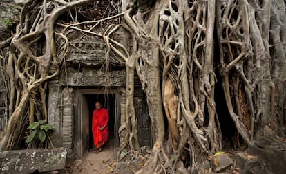 Un monje budista en el templo de Ta Prohm, en Angkor.