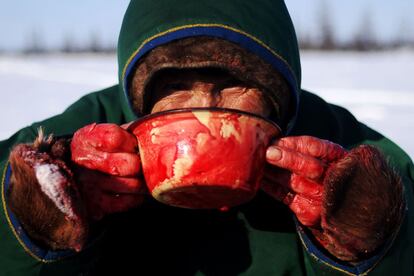 Un pastor bebe la sangre de un reno en la remota región de Yamalo-Nenets, en el norte de Rusia.