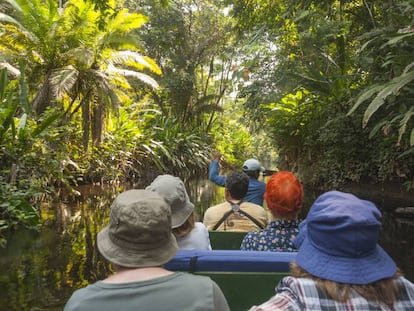 Unos turistas se adentran en piragua en la selva amazónica de Yasuní, en Ecuador.