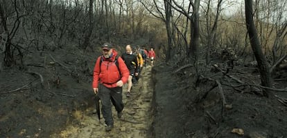 Andaina por la ruta de senderimo de Queguas, en el Parque del Xur&eacute;s, devastada en primavera