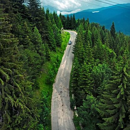 Rumanía cuenta con amplias zonas boscosas. En la imagen, una carretera de alta montaña.