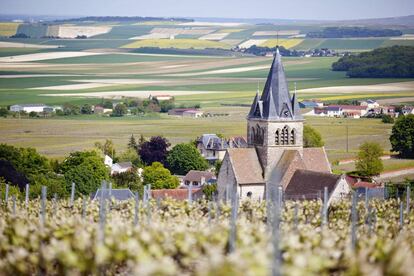 La iglesia de la localidad de Ville-Dommange despunta entre los vilñedos de la región francesa de Champagna.