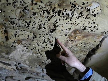 El investigador Fernando Muñiz señala una de las piedras modificadas por fauna marina y utilizada de forma intencionada para cubrir el pasillo del 'tholos' de La Pastora. El efecto recuerda un cielo estrellado.