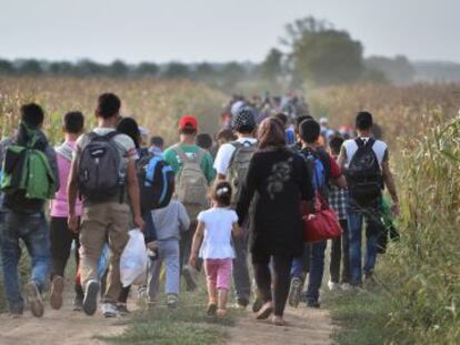 Cientos de emigrantes caminan este mi&eacute;rcoles de Serbia a Croacia.