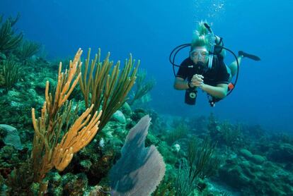 Buceo en Jamaica.