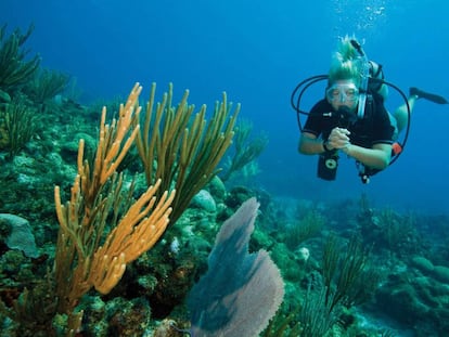 Una buceadora sumergida en las aguas de Jamaica.