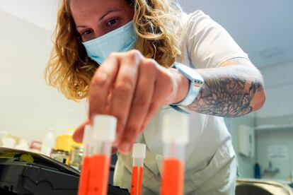 La rastreadora María Bermúdez recoge las muestras de varios test para mandarlas al laboratorio