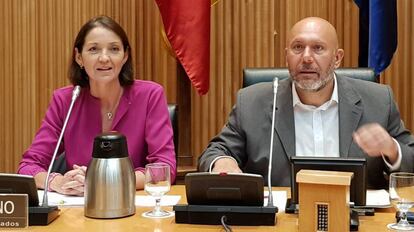 La ministra Reyes Maroto, en la comisión de Industria, Comercio y Turismo del Congreso.