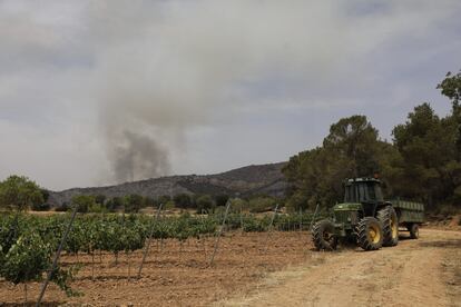 El delegado de la Generalitat en Lleida ha hecho un llamamiento para que las personas que tengan tractor se unan este jueves a los campesinos que labran los campos para frenar la propagación del incendio.