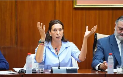 La consejera de Inclusión Social, Juventud, Familia e Igualdad, Loles López, durante su comparecencia en el Parlamento andaluz para abordar el colapso en la dependencia. / JOAQUÍN CORCHERO (EP)