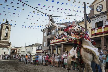 Fiesta de Los Gansos en Carpio de Tajo.