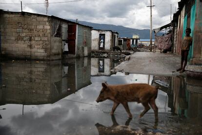 Un nen espera al costat d'un carrer inundat després del pas de l'huracà Matthew a Cité-Soleil, a Port-au-Prince (Haití).